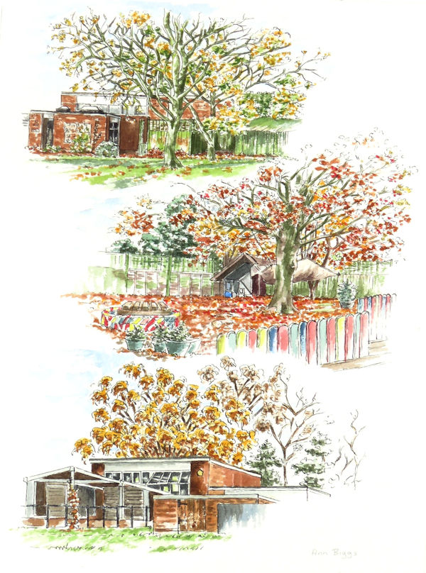 Wilburton School 